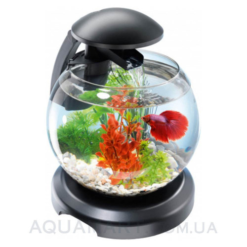 Аквариум Tetra Cascade Globe для петушка и золотой рыбки черный 6,8 литров